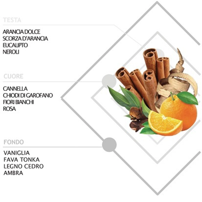 Vendita online Ricarica Home Fragrance Arancia e Spezie 250 ml.